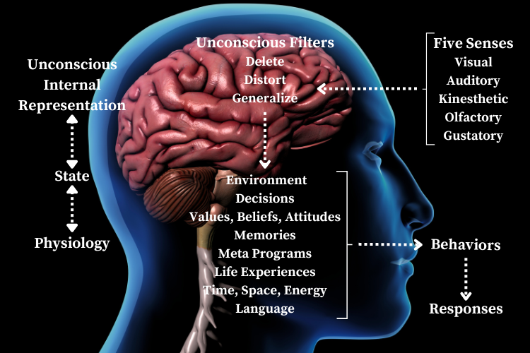 NLP Communication Model Image NLP Communication Model - changes in communication and behavior