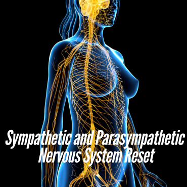 Reset Nervous System Resetting the Nervous System